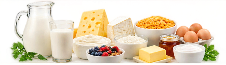 Süd Məhsulları və Səhər Yeməyi