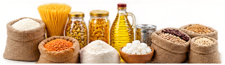 Təməl Qida