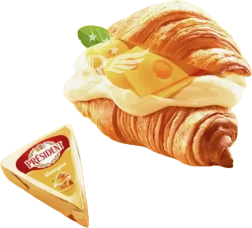  Maazdam Processed Cheese