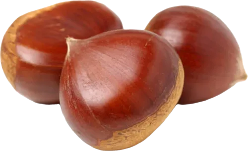 Chestnut loose