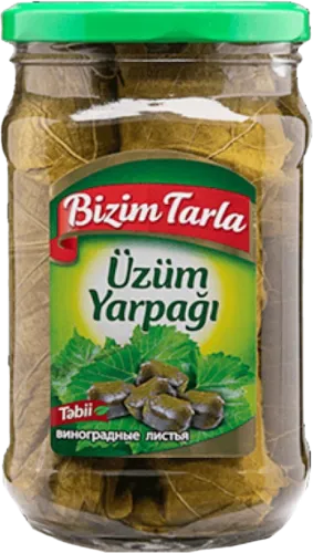 Üzüm yarpağları Üzüm Yarpağı