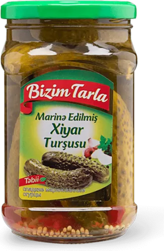 Marinad turşusu 