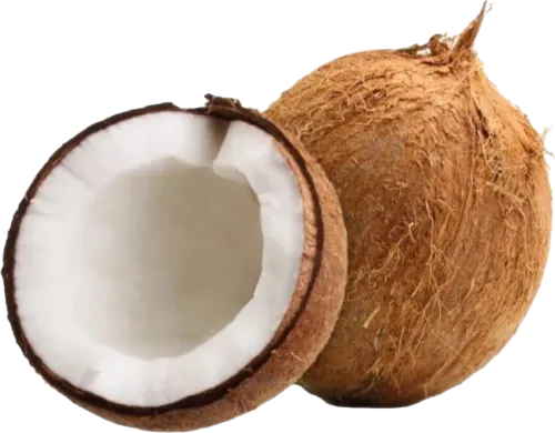 Exotic Coconut