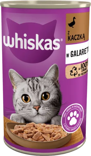 Pişiklər üçün sulu yem tuna baliq ilə