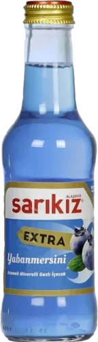 Sarikiz Ekstra Drink Blueberry