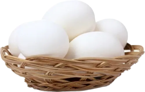 Hacıqabul Large White Egg