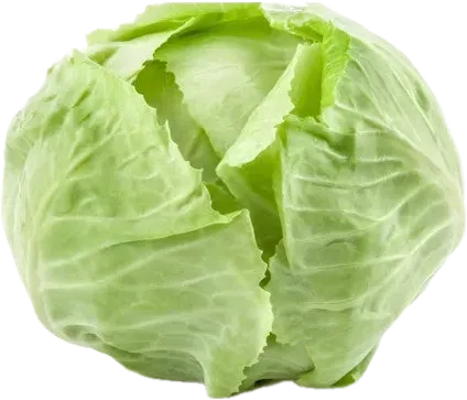 Ağ kələm