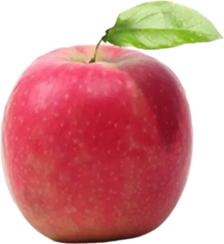 Pink Lady Alma