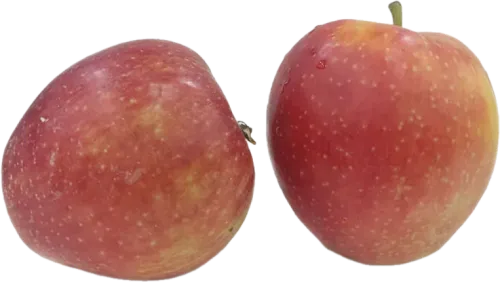 Prince Apple