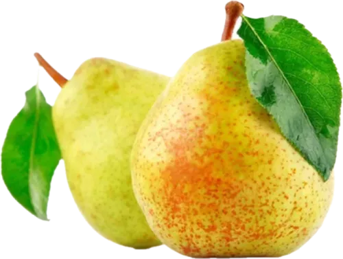 Груша Дюшес Красная