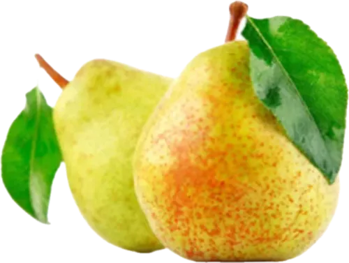 Местная груша