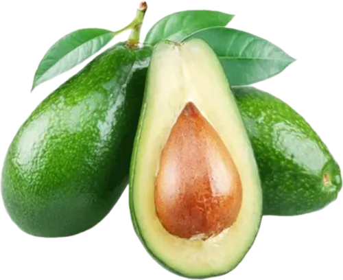 Avokado