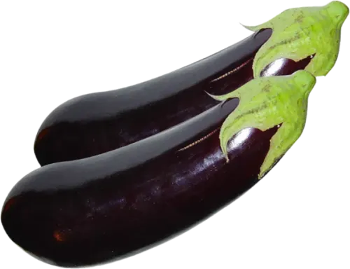 Баклажан Анамур