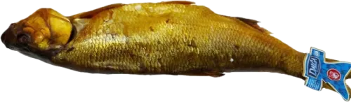 Salmon Fillet
