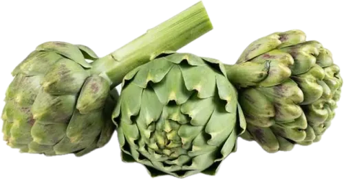 Enginar