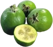 Fresh Feijoa