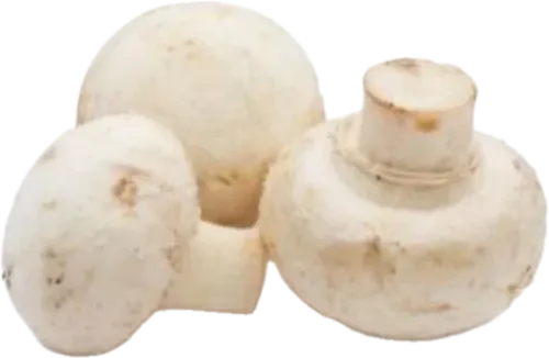 Mushrooms