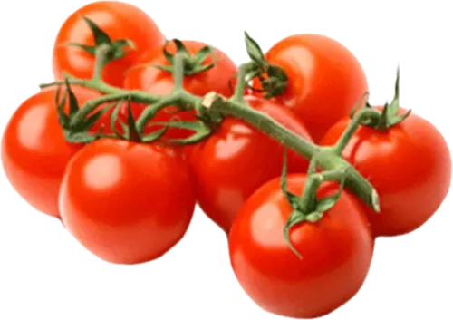 Gözəl Təbiət Cocktail Tomatoes