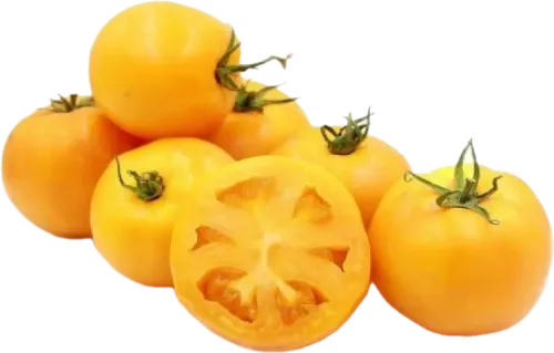 Gözəl Təbiət Yellow Village Tomatoes