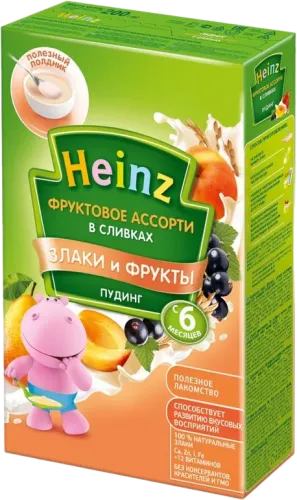 Пудинг из смеси фруктов со сливой