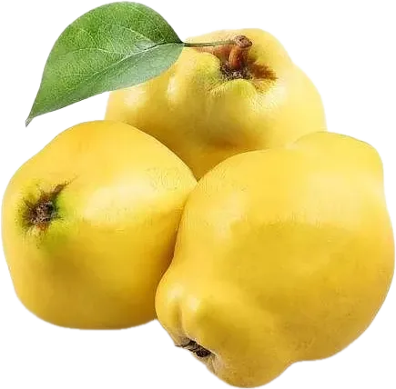 Айва Местная