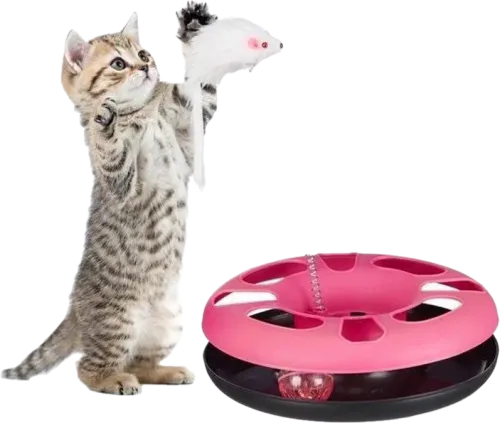 Cat Chasing Toy