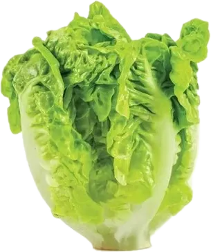 Kahi Paket