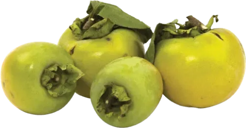 Karalyok