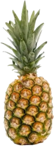 Kiçik Ananas