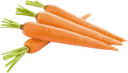 Carrot