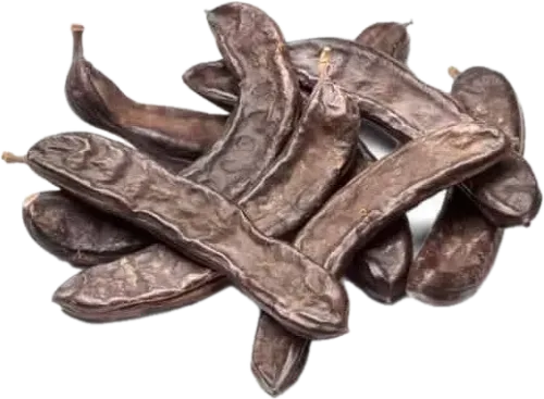 Keçiboynuzu