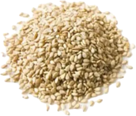 Küncüt