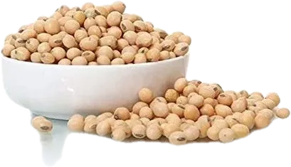 Soy Beans