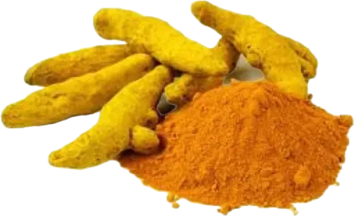 Sarıkök