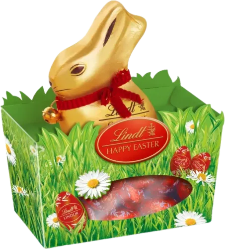 Chocolate Bunny