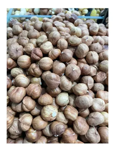 Xaçmaz Fındığı