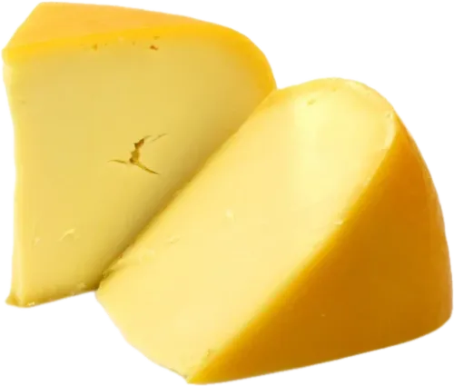 Dutch Cheese