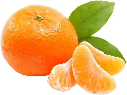 Mandora Mandarin
