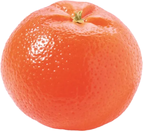 Satsuma Mandarin