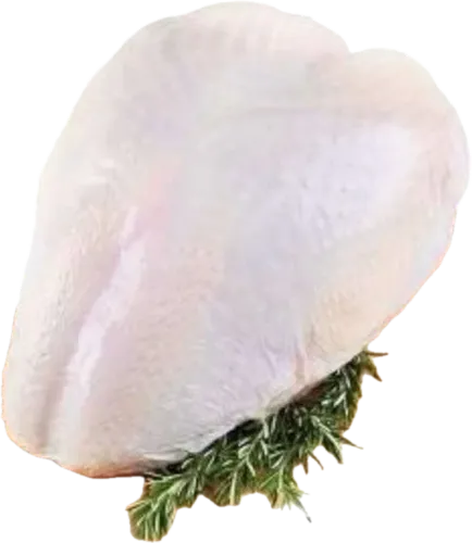 Turkey Breast