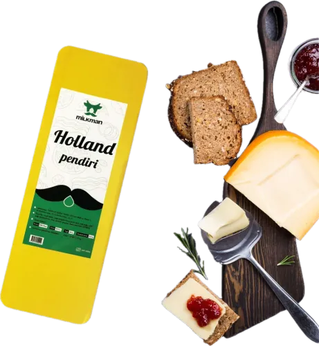 Milkform Holland Cheese