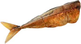 Xəşəm Balığı