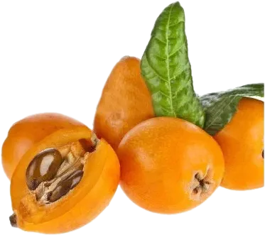 Musmula (Əzgil)