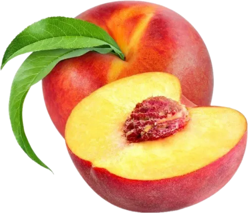 Sələli Nektarin