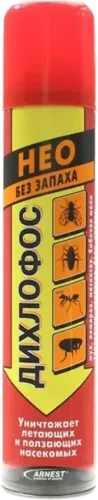 Neo Dixlofos Qoxusuz