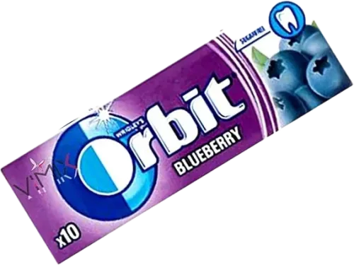 Blueberry Saqqızı
