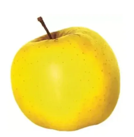 Palmet Armudu
