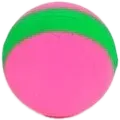 Squeaky Training Ball