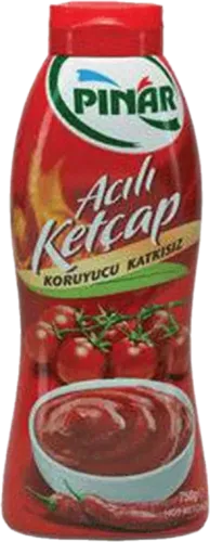 Spicy Ketchup