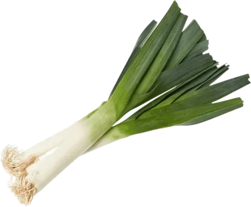 Piras